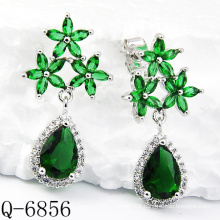 Latest Styles Earrings 925 Silver Jewelry (Q-6856)